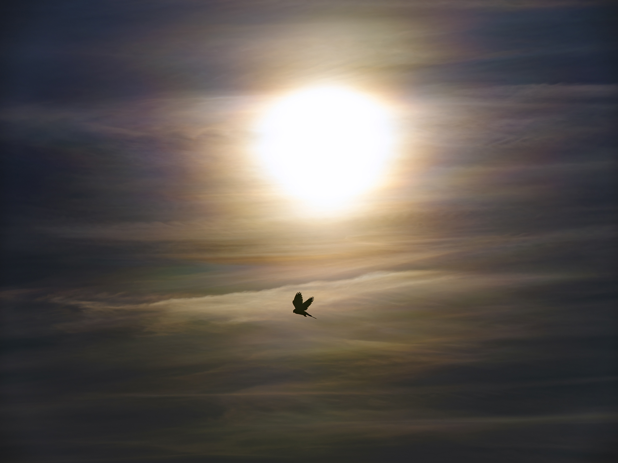 Wenn sich Sonnenlicht  ...